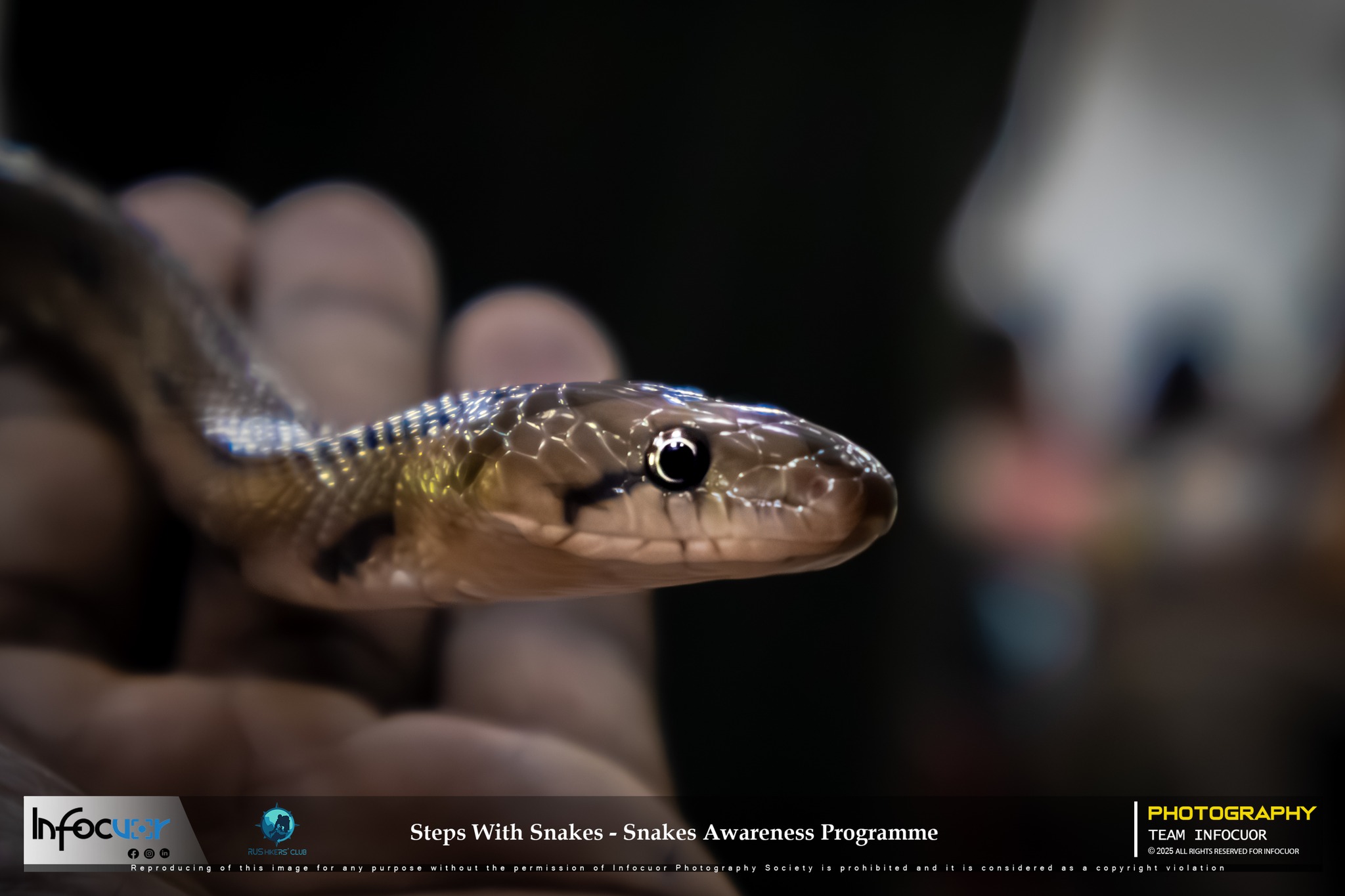 472209501_1141681561297558_427884735948842199_n